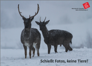 Thumbnail Postkarte Fotos keine Tiere